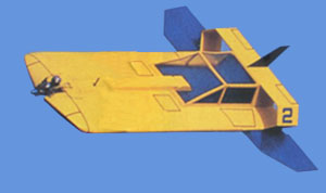 Coleoptere
